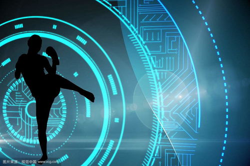 互聯(lián)網(wǎng)技術(shù)開(kāi)發(fā)與金融業(yè)的深度融合 機(jī)遇、挑戰(zhàn)與未來(lái)趨勢(shì)